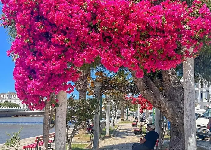Appartement Garden Oasis Tavira