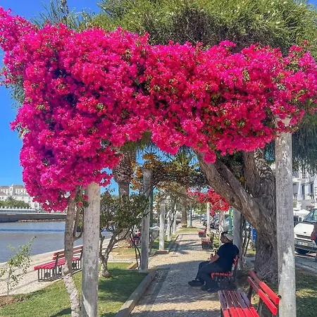Διαμέρισμα Garden Oasis Ταβίρα